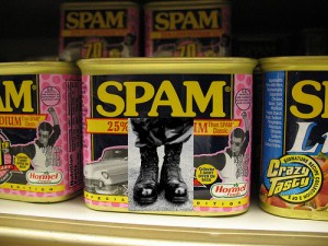 SPAM Soldier