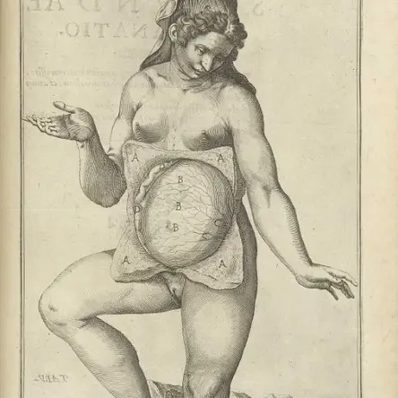 Early anatomical drawing of a woman