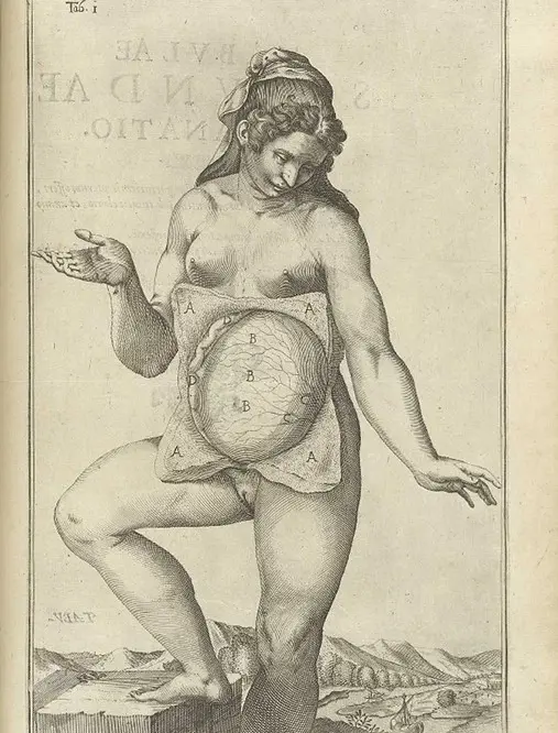 Early anatomical drawing of a woman